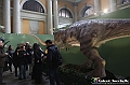 VBS_1049 - Dinosauri. Terra dei giganti